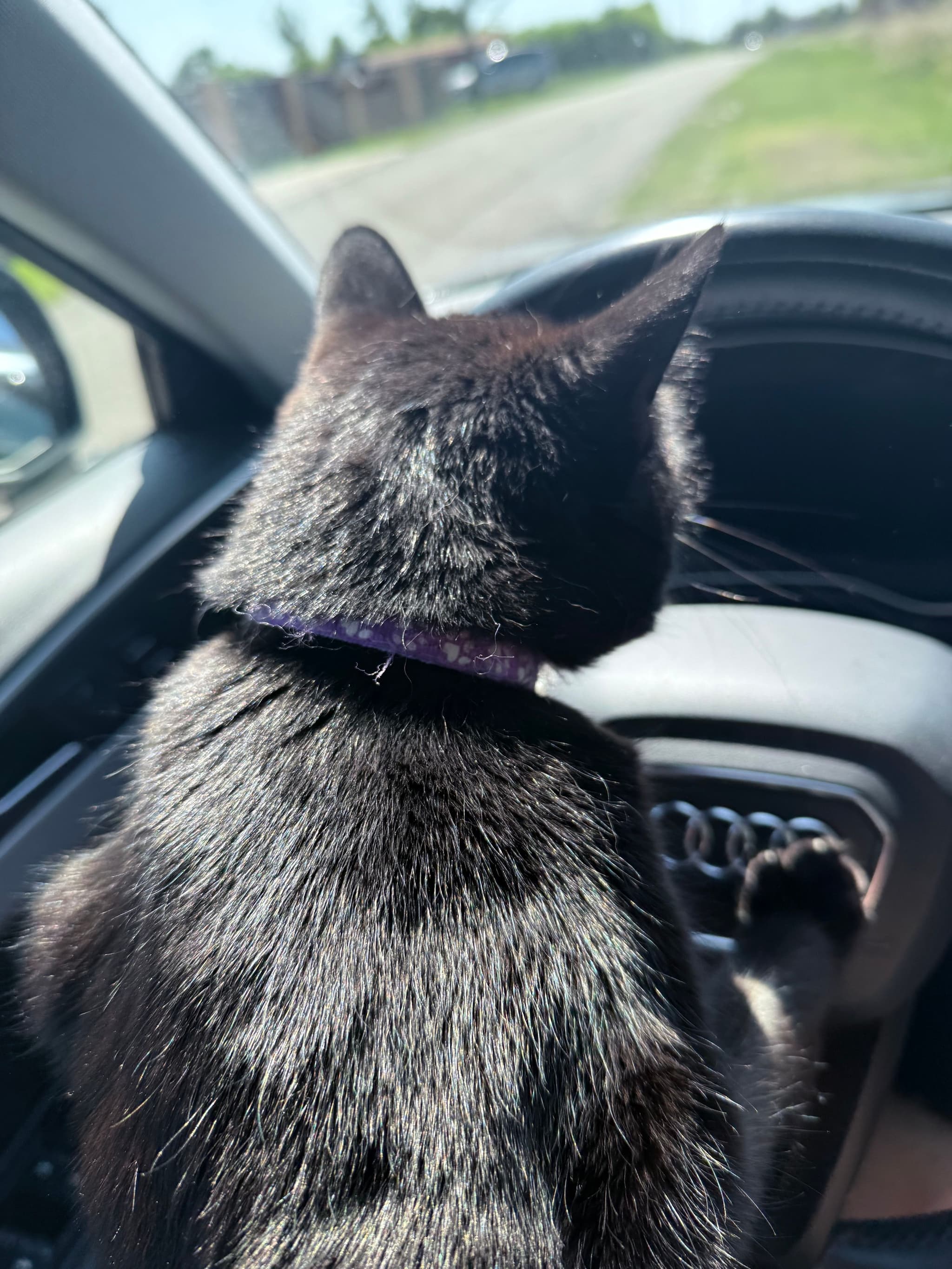 drive