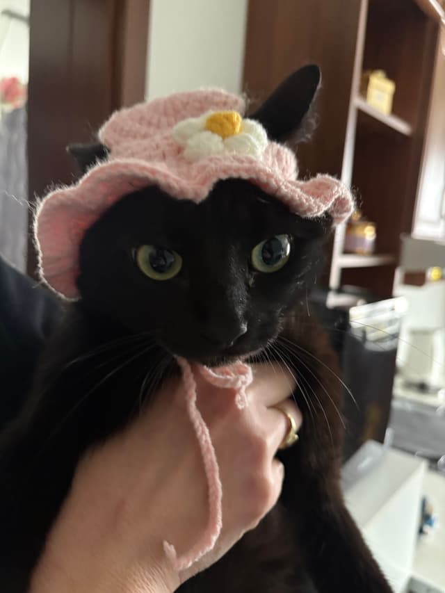 little hat
