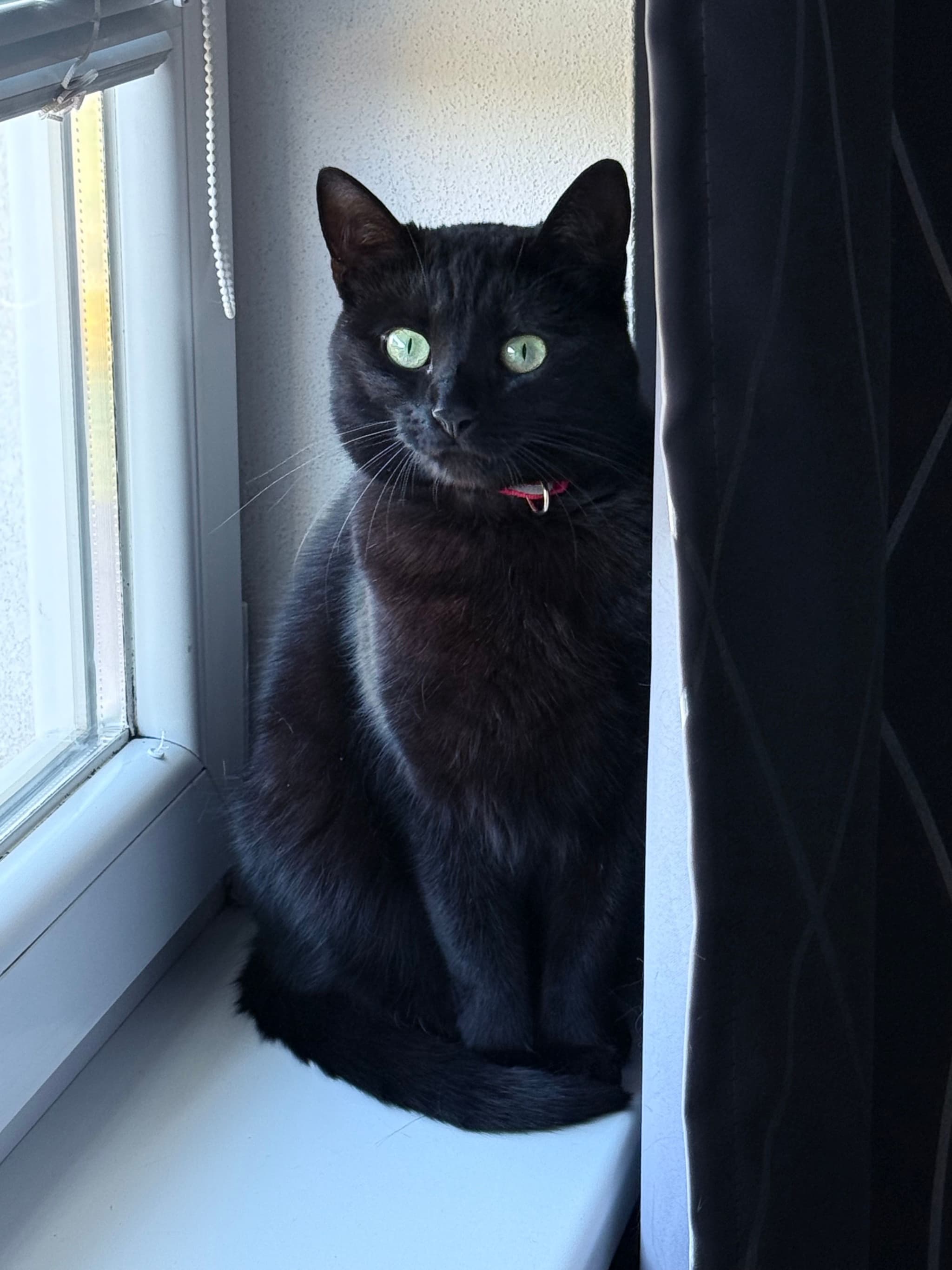 bird watching